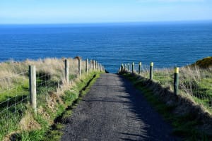 View of sea from small pathway between paddocks