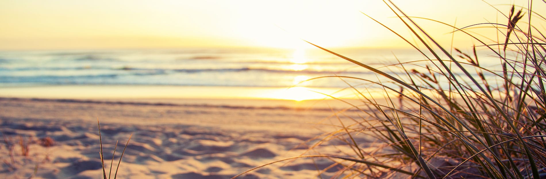 Dunedin Psychology - sun rising over sandy beach, wave gently lapping as tussock watch on